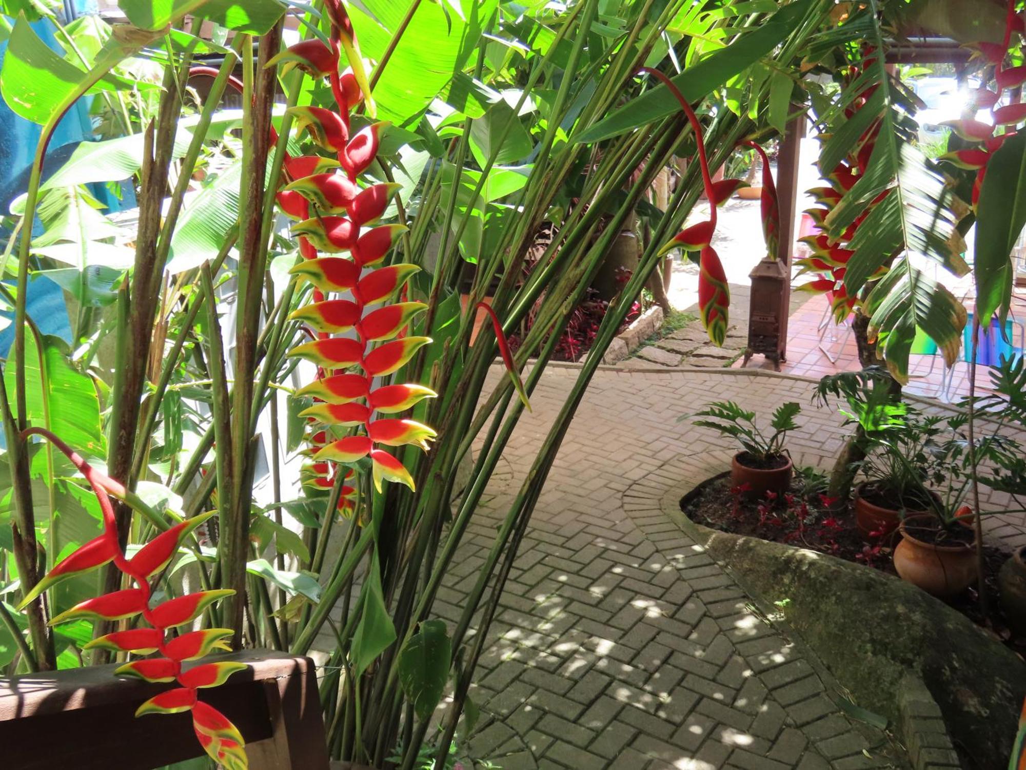 Patio Floriparadise Florianópolis Dış mekan fotoğraf